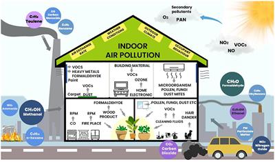 Phytoremediation potential of indoor plants in reducing air pollutants